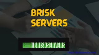 BriskServers - Fast, Reliable Hosting Solutions