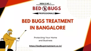 Bed Bugs Treatment in Bangalore