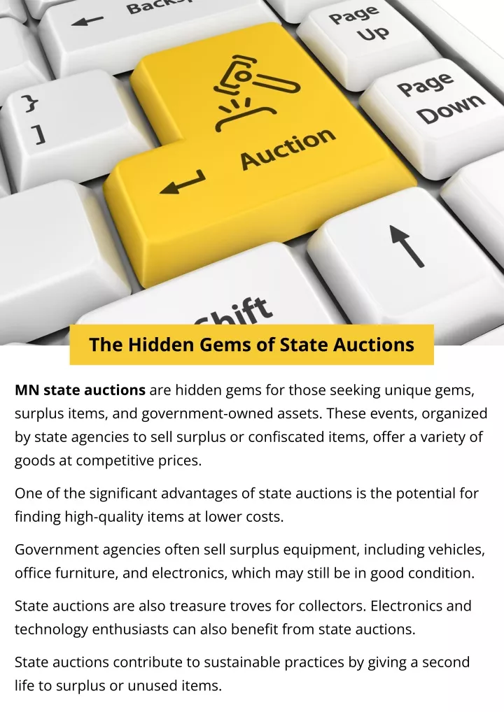 the hidden gems of state auctions