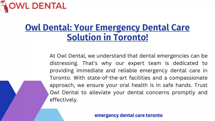 owl dental your emergency dental care solution