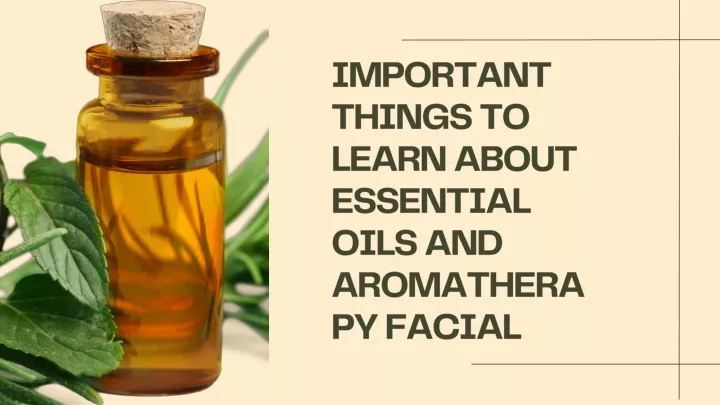 important things to learn about essential oils