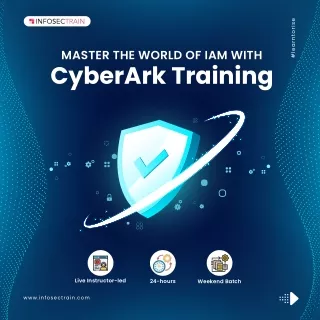 learntorise