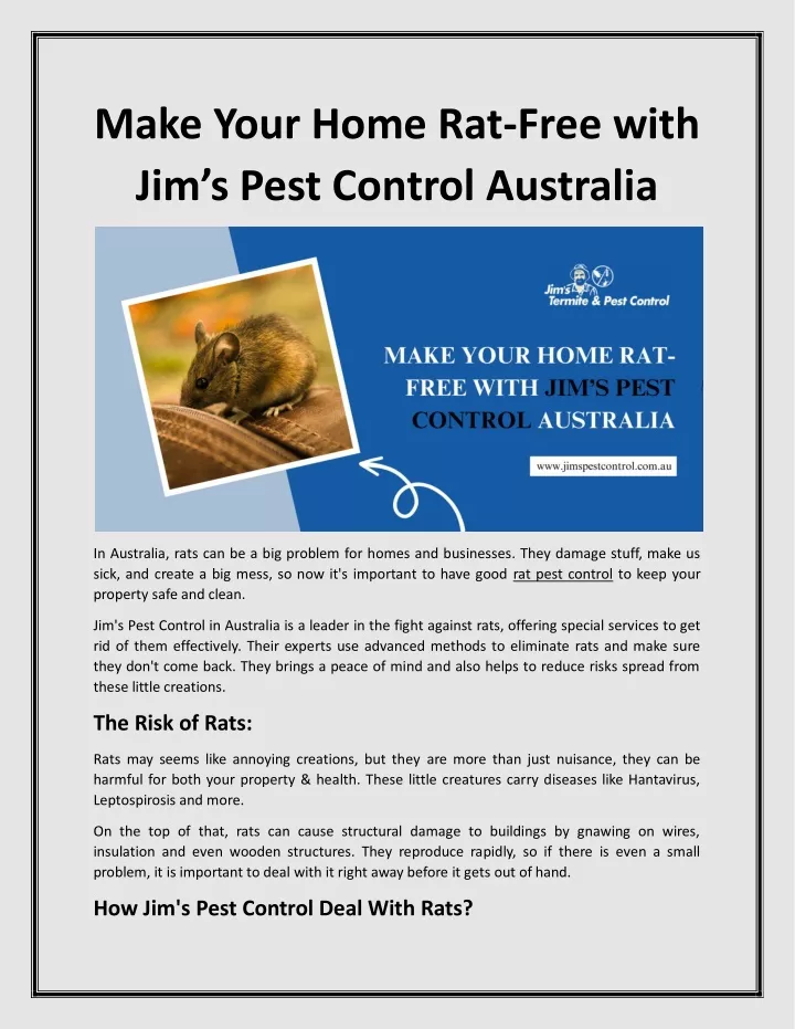 make your home rat free with jim s pest control