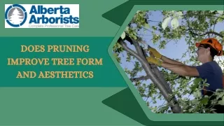 Does Pruning Improve Tree Form and Aesthetics