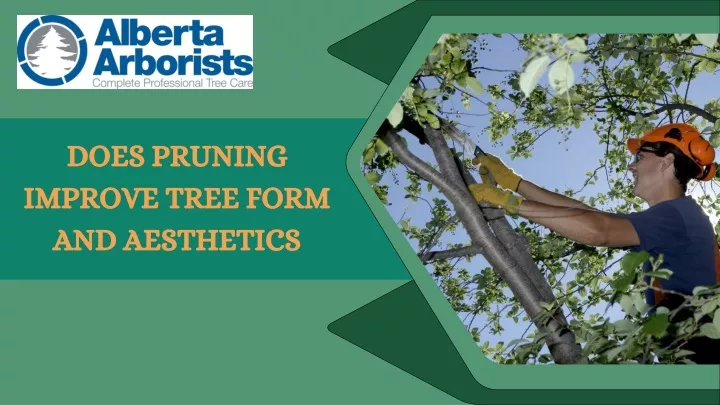 does pruning improve tree form and aesthetics