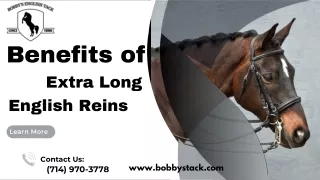 Choosing the Right Extra-Long English Reins for Your Needs