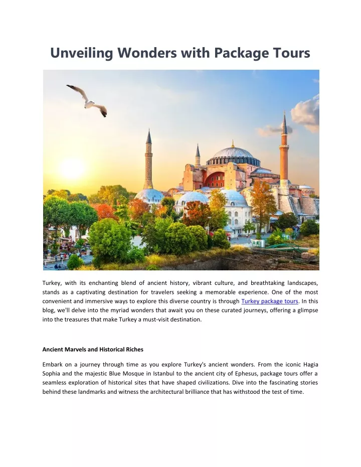 unveiling wonders with package tours