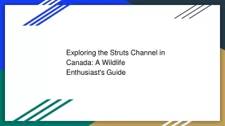 Exploring the Struts Channel in Canada: A Wildlife Enthusiast's Guide