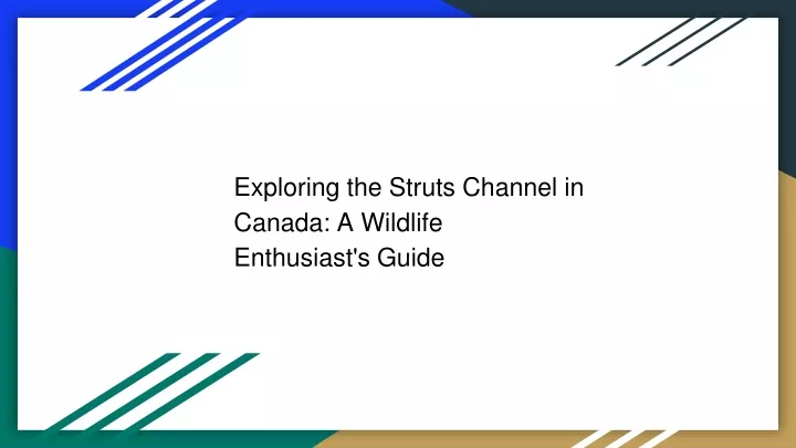 exploring the struts channel in canada a wildlife enthusiast s guide