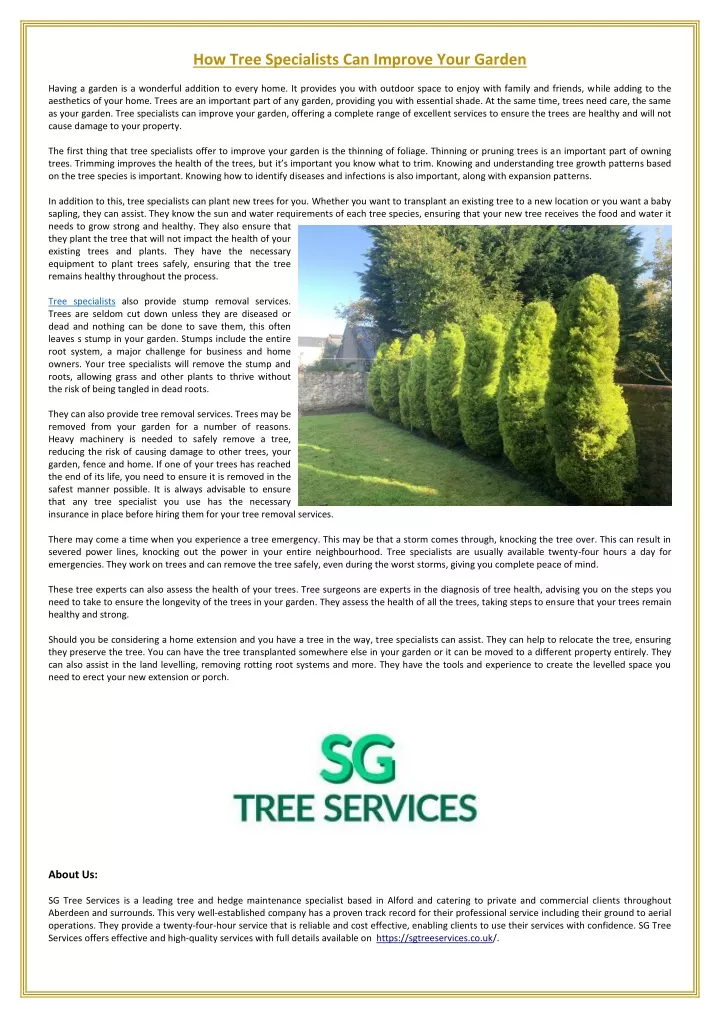 how tree specialists can improve your garden