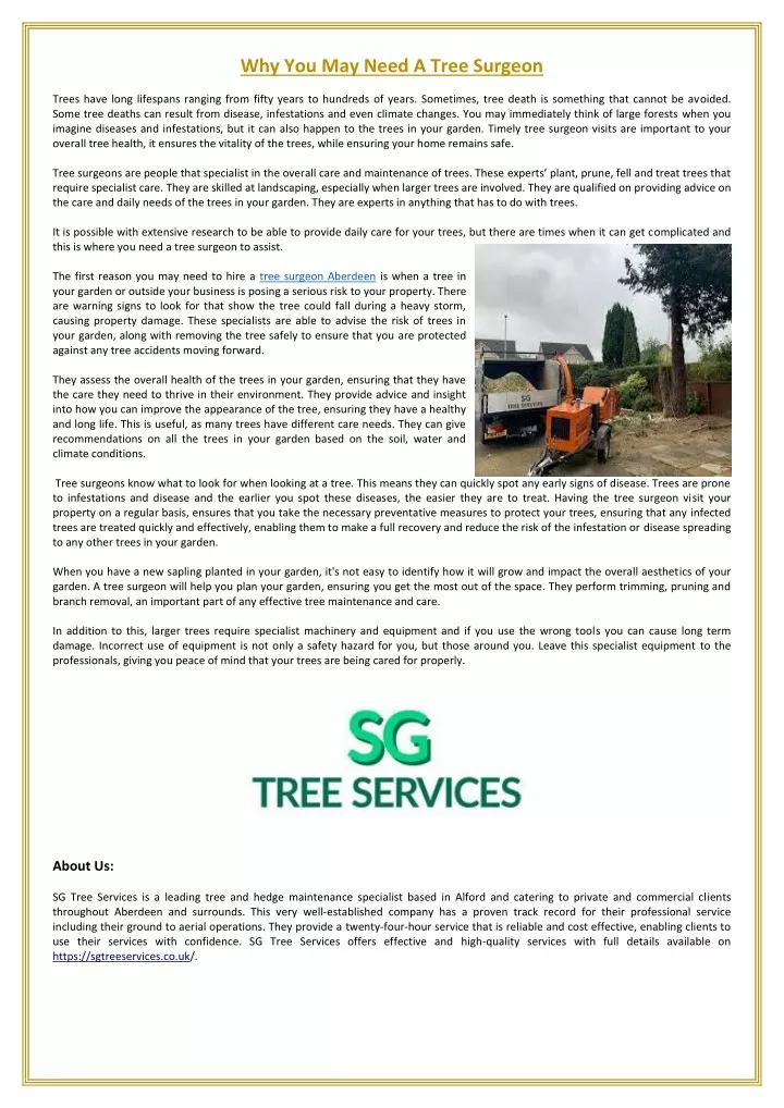 why you may need a tree surgeon