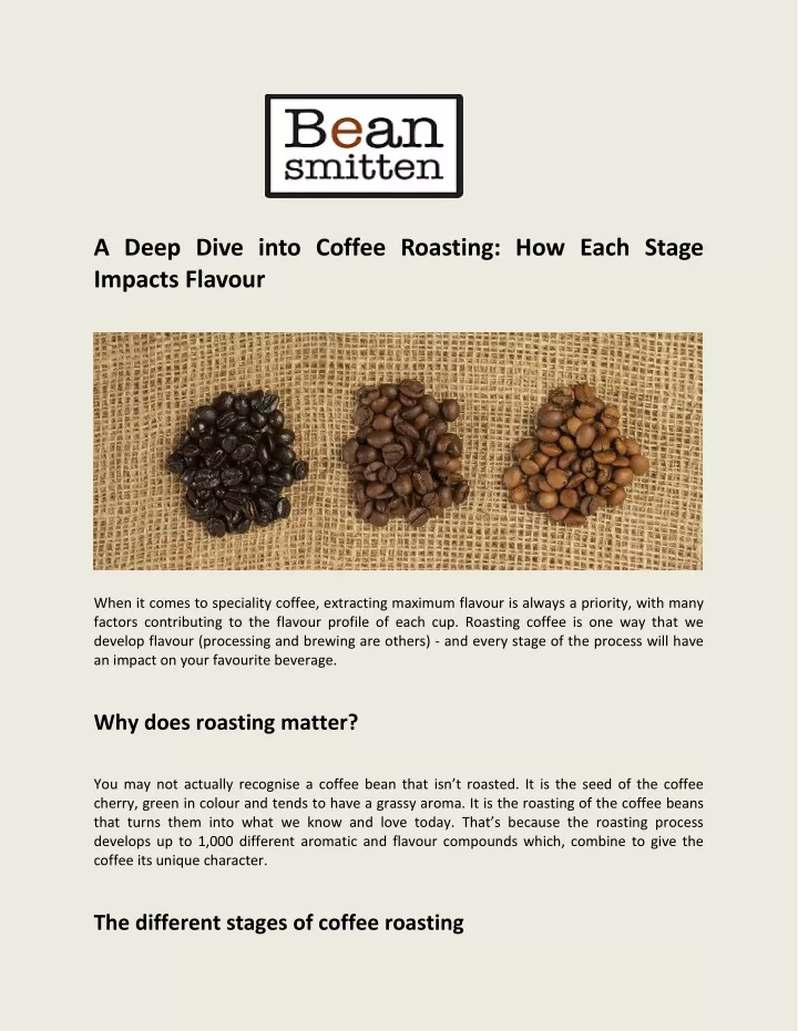 a deep dive into coffee roasting how each stage