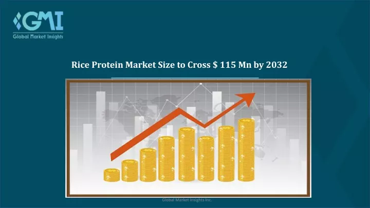rice protein market size to cross 115 mn by 2032