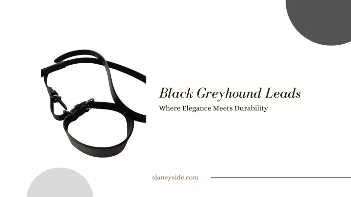 black greyhound leads