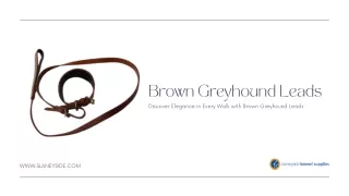 brown greyhound leads discover elegance in every