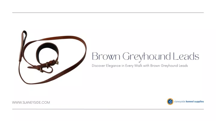 brown greyhound leads discover elegance in every