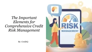 The Important Elements for Comprehensive Credit Risk Management