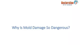 why is mold damage so dangerous