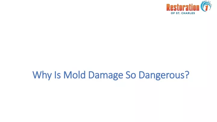 why is mold damage so dangerous