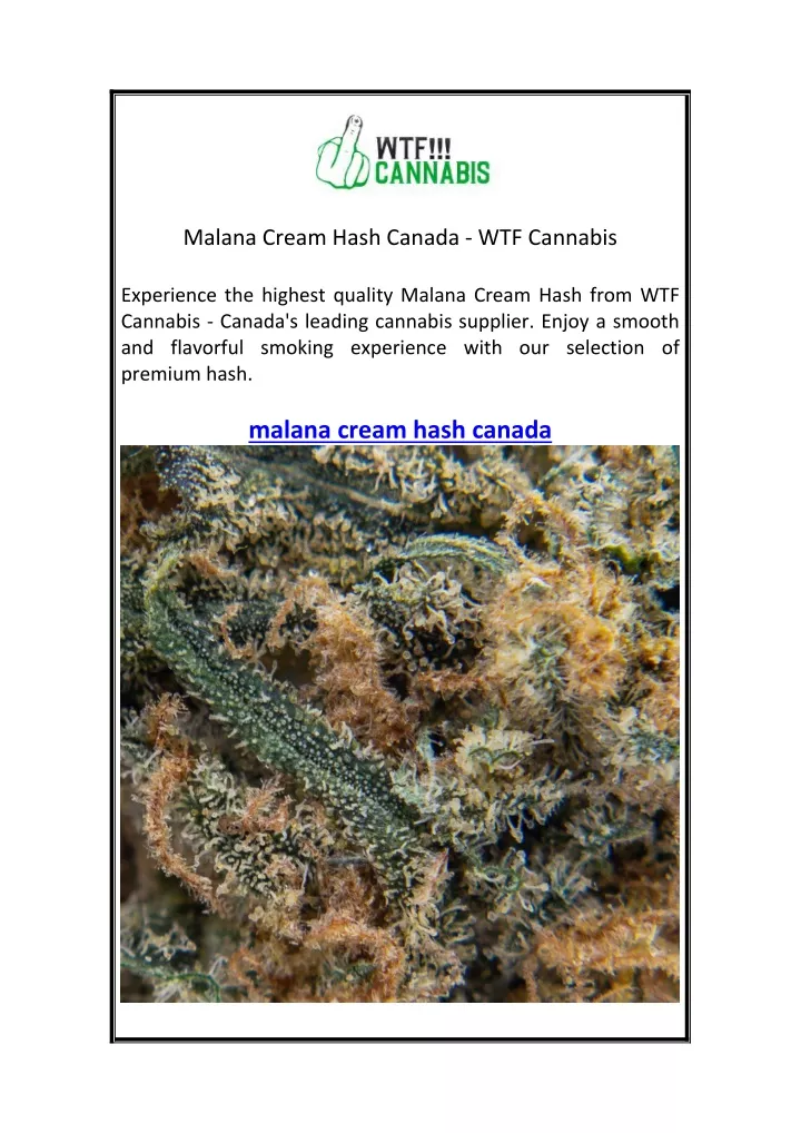 malana cream hash canada wtf cannabis