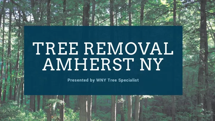 tree removal amherst ny