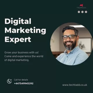 digital marketing expert