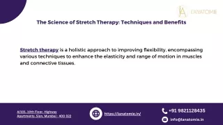 The Science of Stretch Therapy Techniques and Benefits