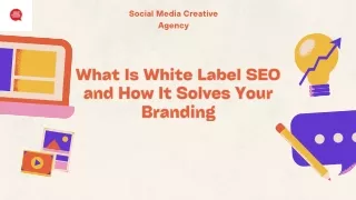 What Is White Label SEO and How It Solves Your Branding