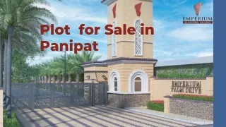 plot for sale in panipat -emperium