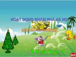 ngay tet que em