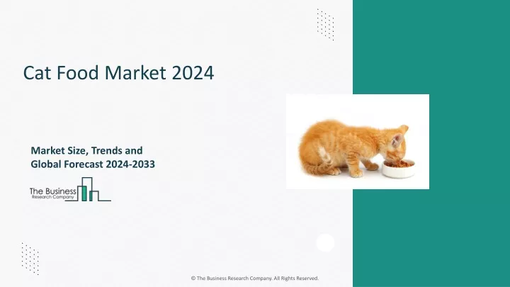 cat food market 2024