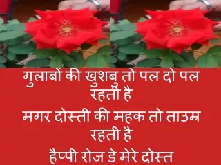 Happy Rose Day Shayari Status with Images