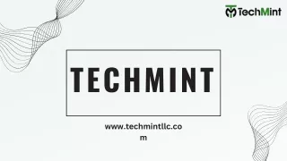 TechMint - IT Solutions with expert support