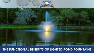 The Functional Benefits of Lighted Pond Fountains