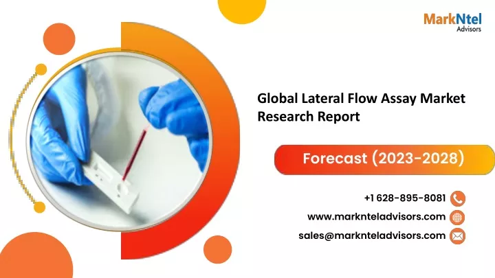 global lateral flow assay market research report