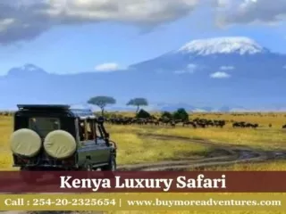 The Allure of Kenya Luxury Safaris: A Journey into Exclusivity and Natural Wonde