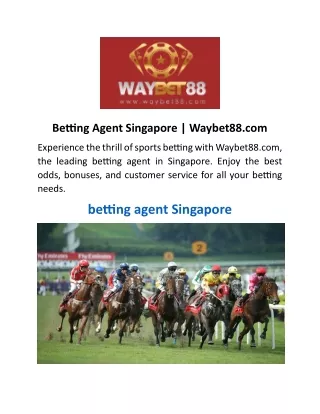 Betting Agent Singapore | Waybet88.com