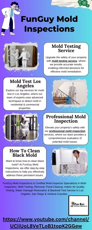 Mold Testing Service