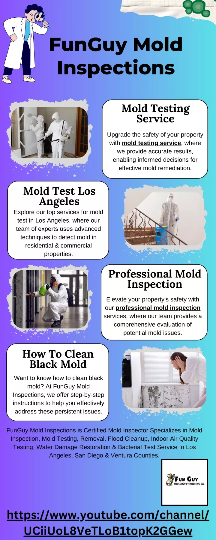 funguy mold inspections