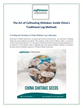 The Art of Cultivating Shiitakes Inside China's Traditional Log Methods