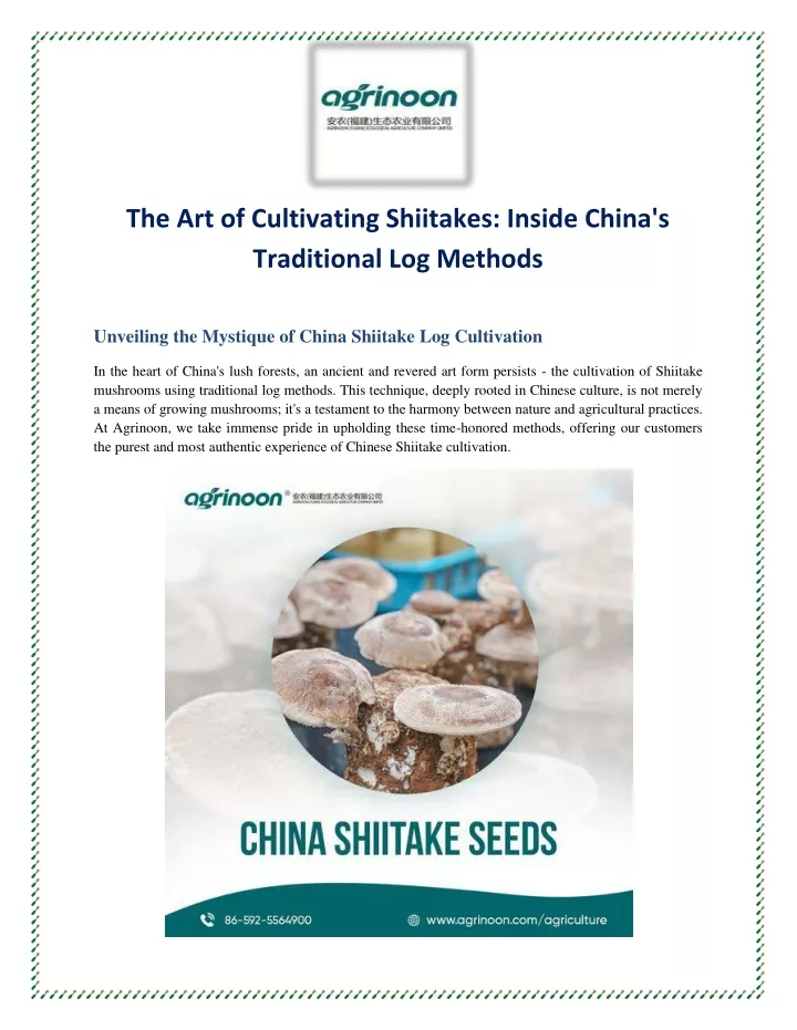 the art of cultivating shiitakes inside china