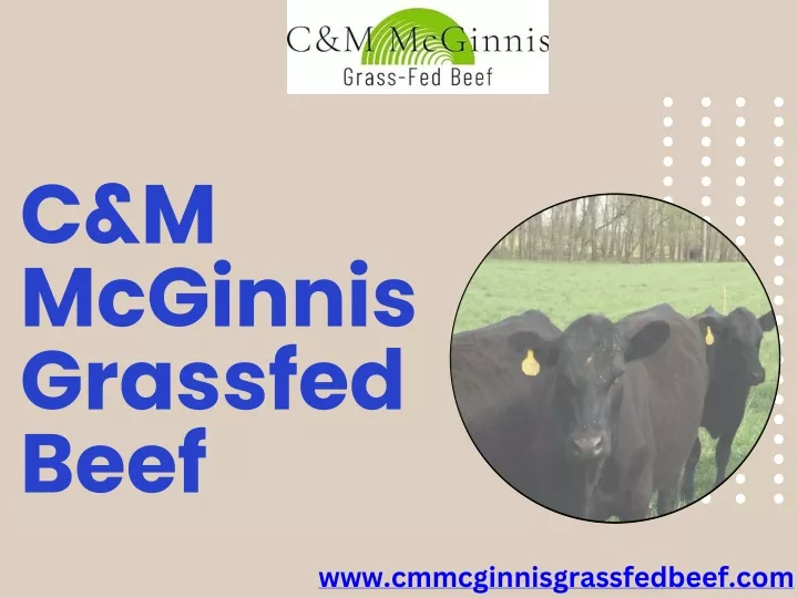 c m mcginnis grassfed beef