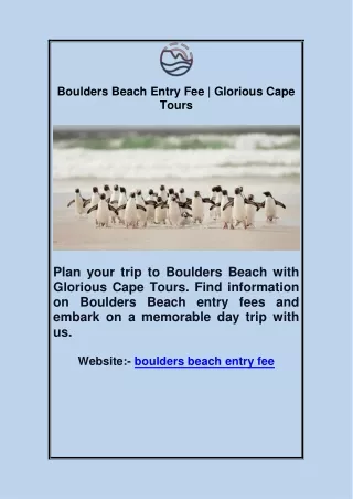 Boulders Beach Entry Fee | Glorious Cape Tours