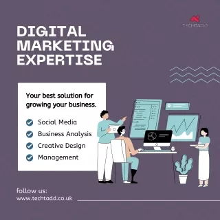 Digital marketing expertise