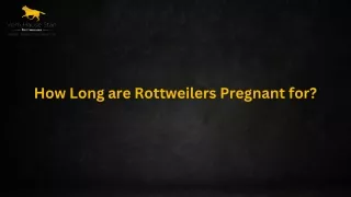 How Long are Rottweilers Pregnant for?