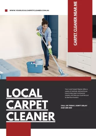 Local Carpet Care Cleaner  Services