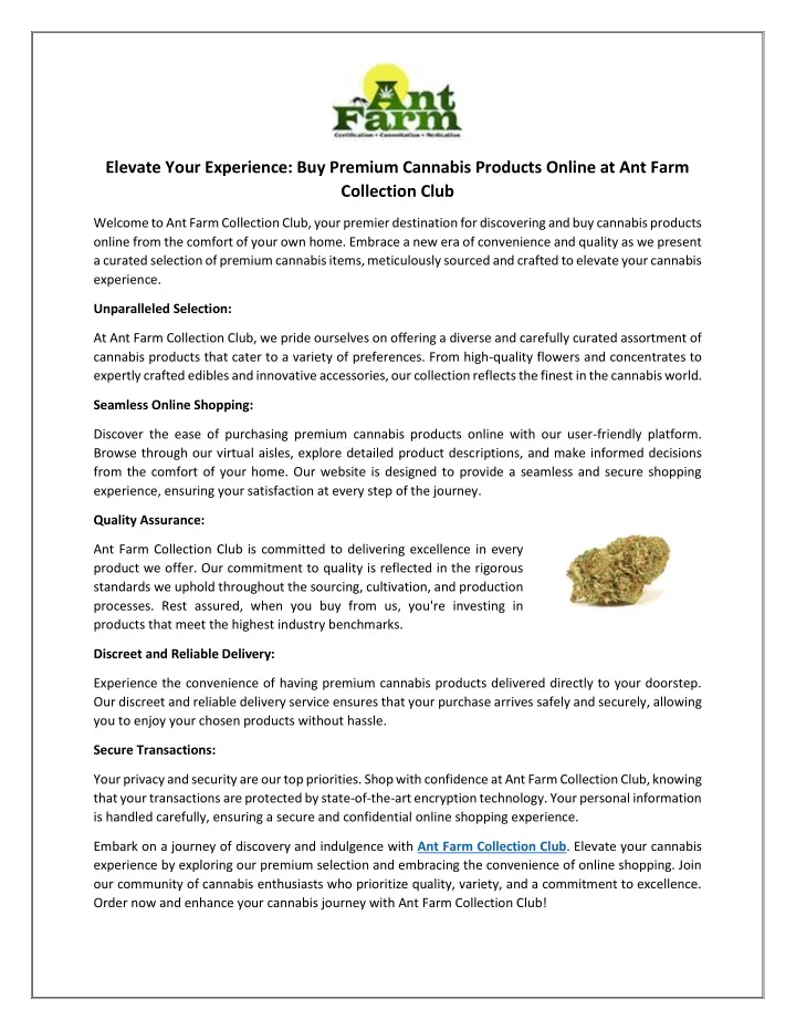 elevate your experience buy premium cannabis