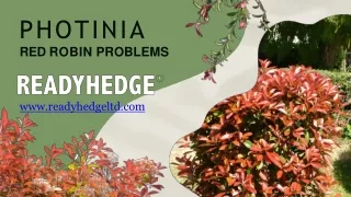 Enhancing Your Garden with Red Robin Perennials