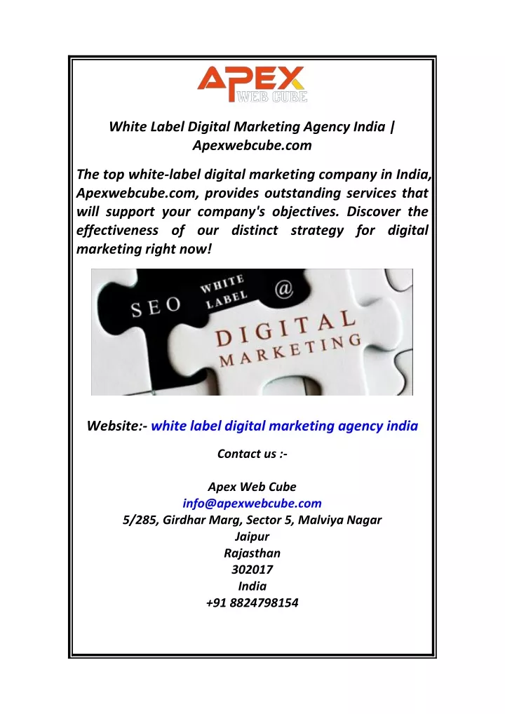 white label digital marketing agency india