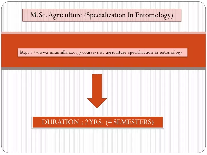 m sc agriculture specialization in entomology